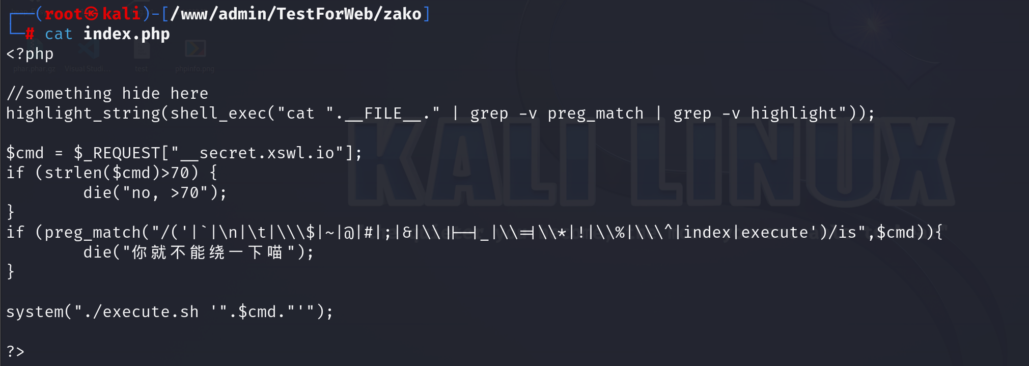 image-20240211230203947