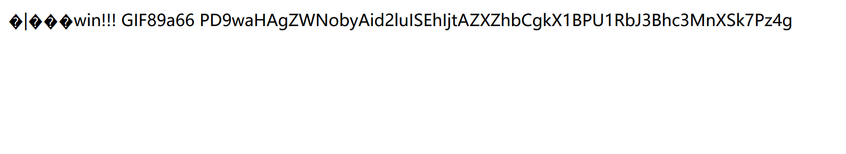 image-20240213230241660