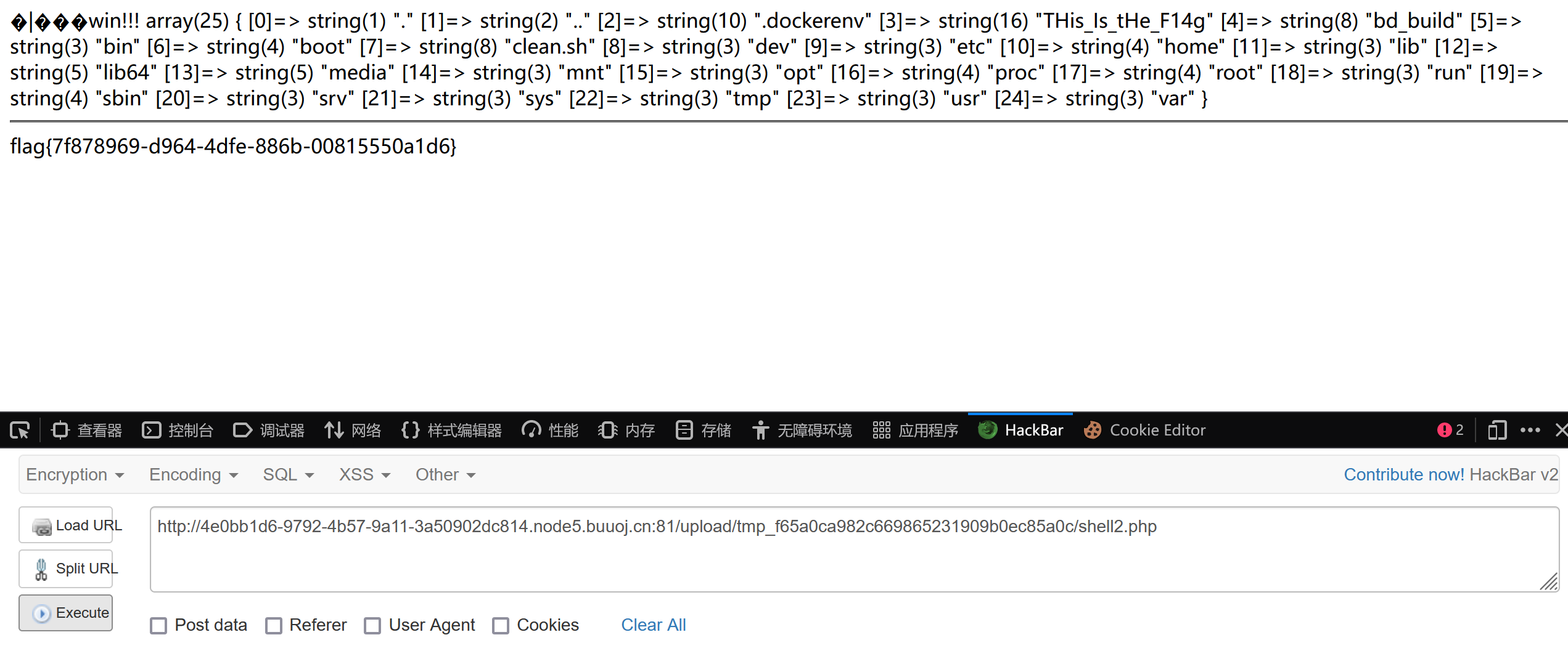 image-20240213234252121