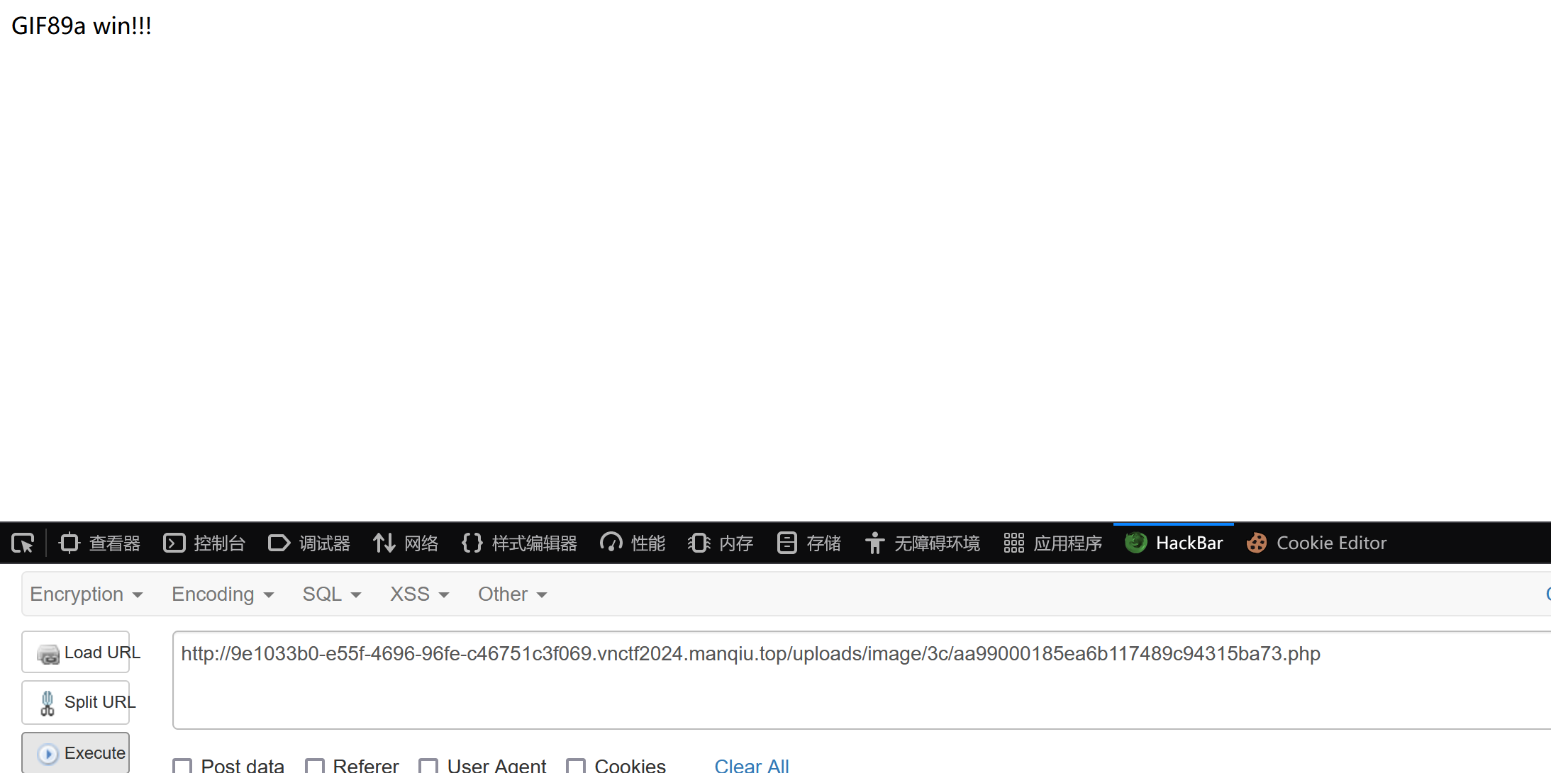 image-20240219223516802